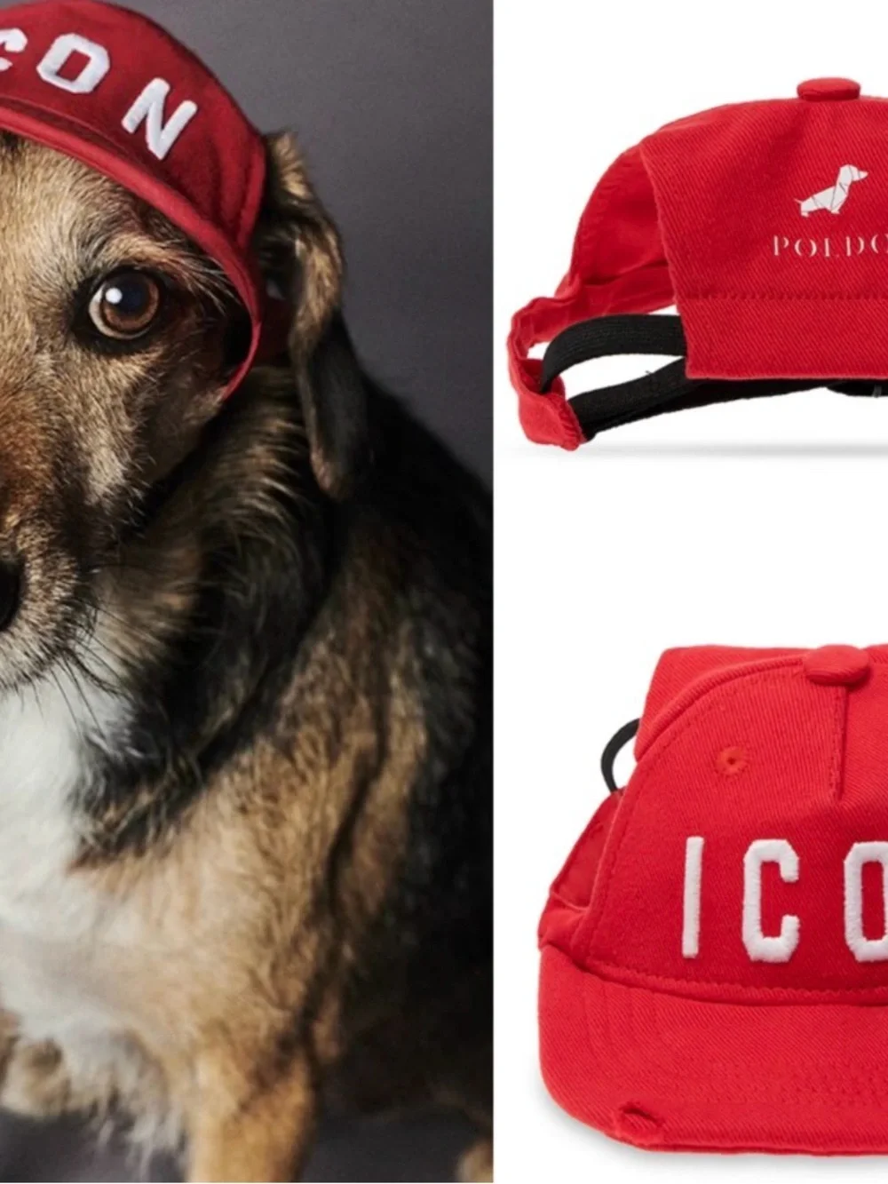 DSQUARED2 x Poldo Red 'ICON' Dog Baseball Cap